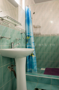 Гостевой дом "Рублевка": Совмещенный санузел, раковина, душ