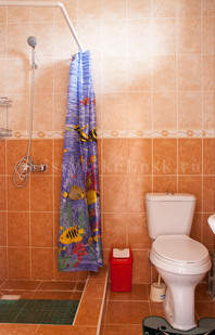 Гостевой дом "Рублевка": Совмещенный санузел в двухместных номерах: душ и унитаз