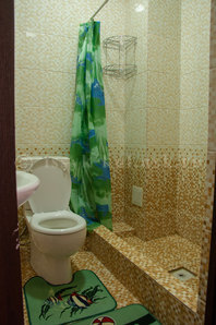Гостевой дом "Salvador": совмещенные санузлы в номерах, унитаз, душ